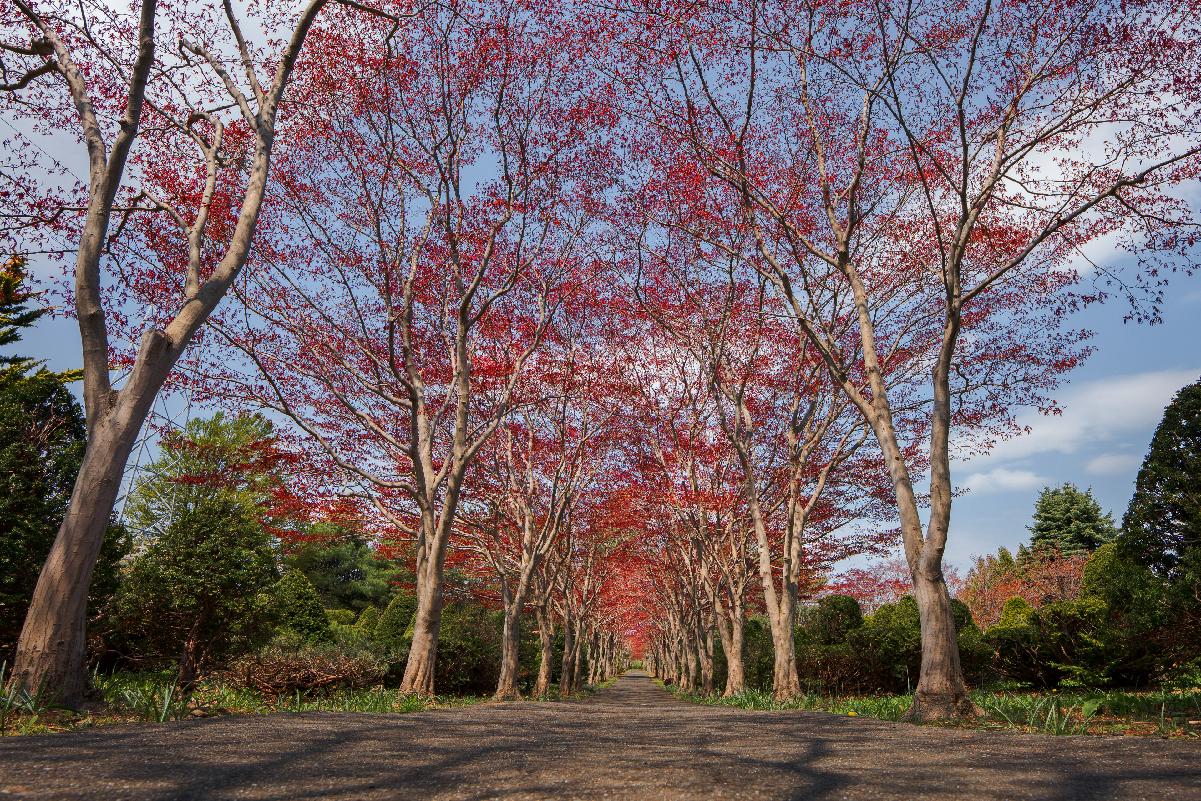 12mm_MasamiTanaka_SamplePhoto_03_1_.jpg