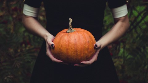 article featured image