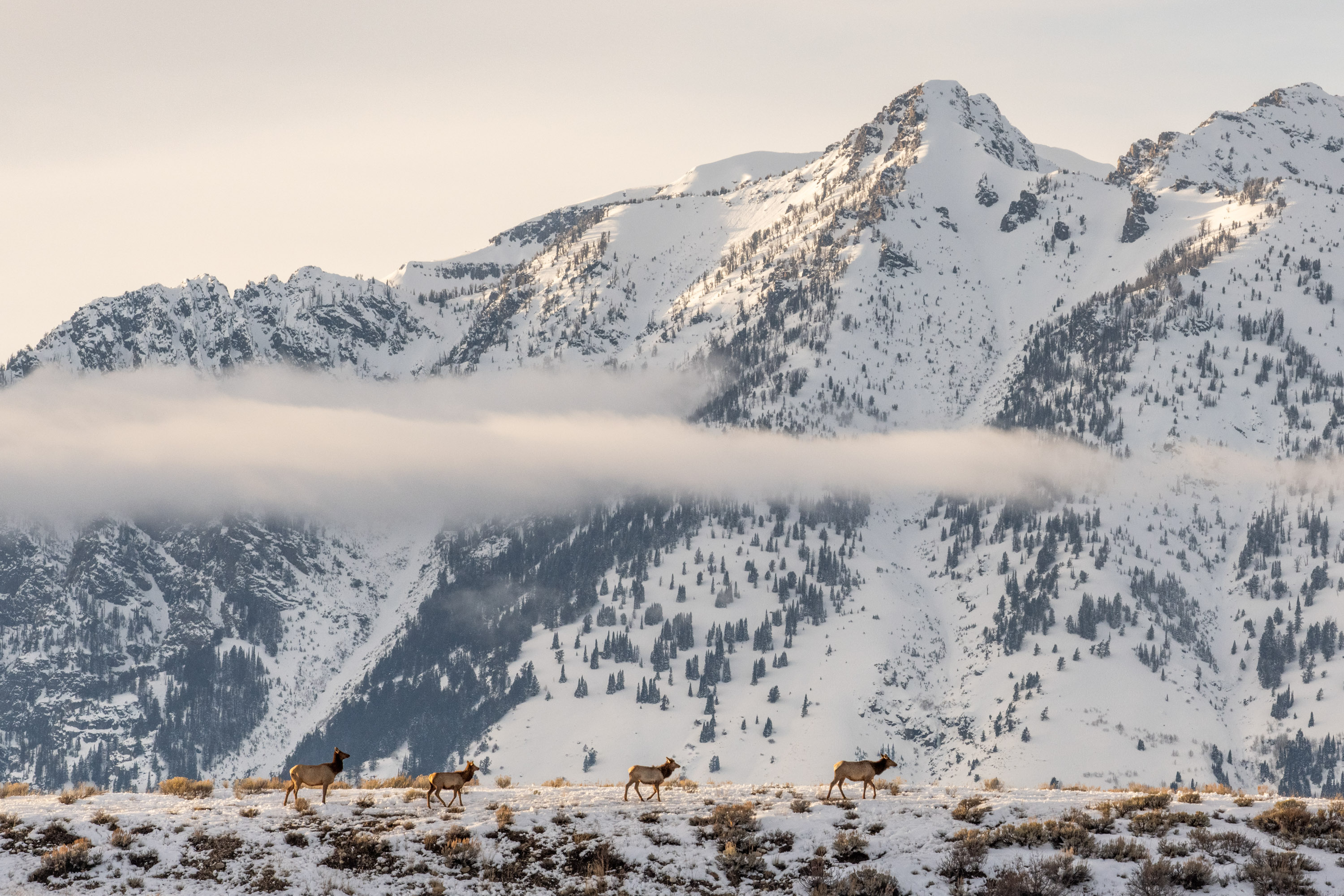 RYAN_100-400mm_DG_DN_OS_C_-_01.jpg