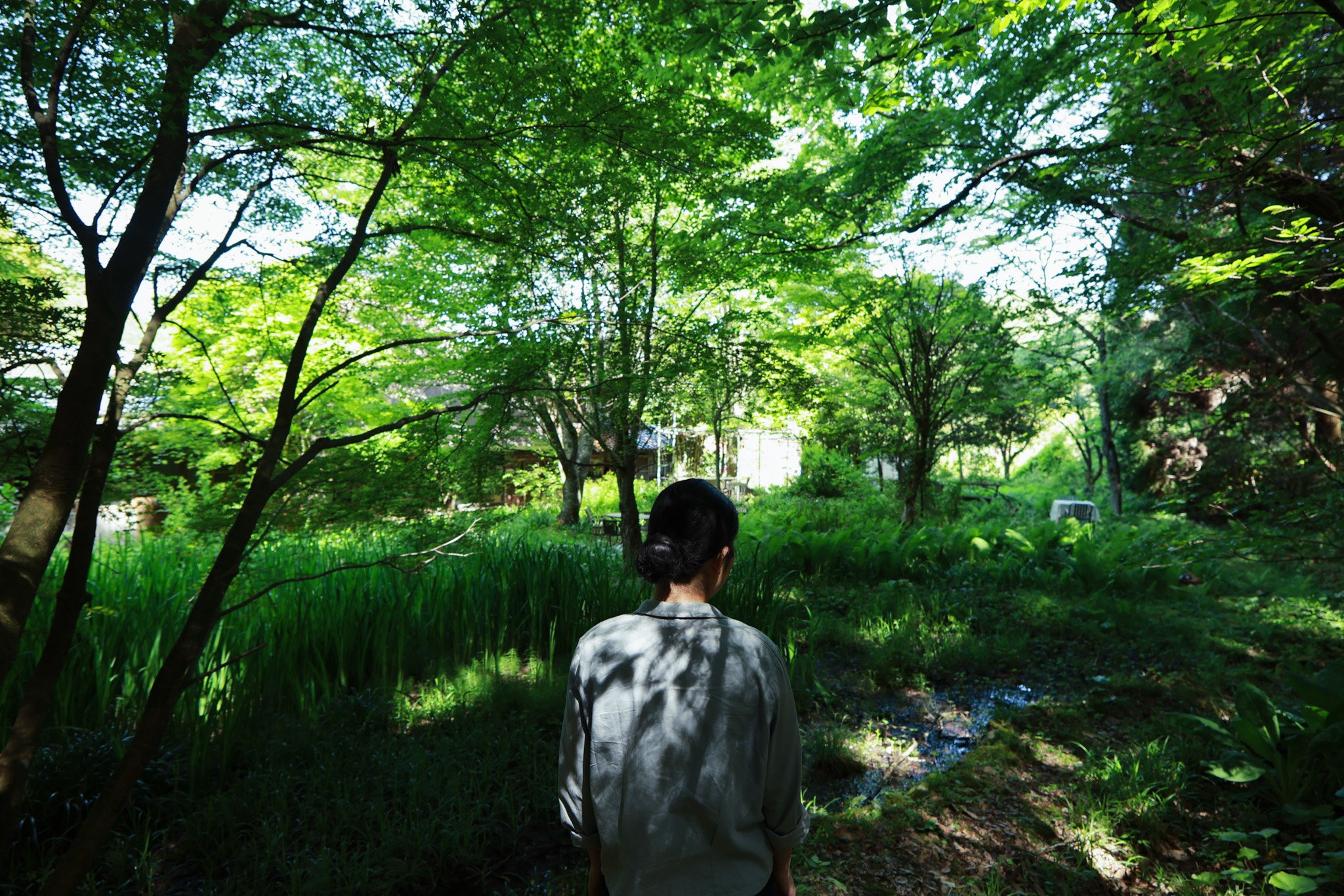 The Grass Garden: Sigma 12mm F1.4 DC Contemporary Lens