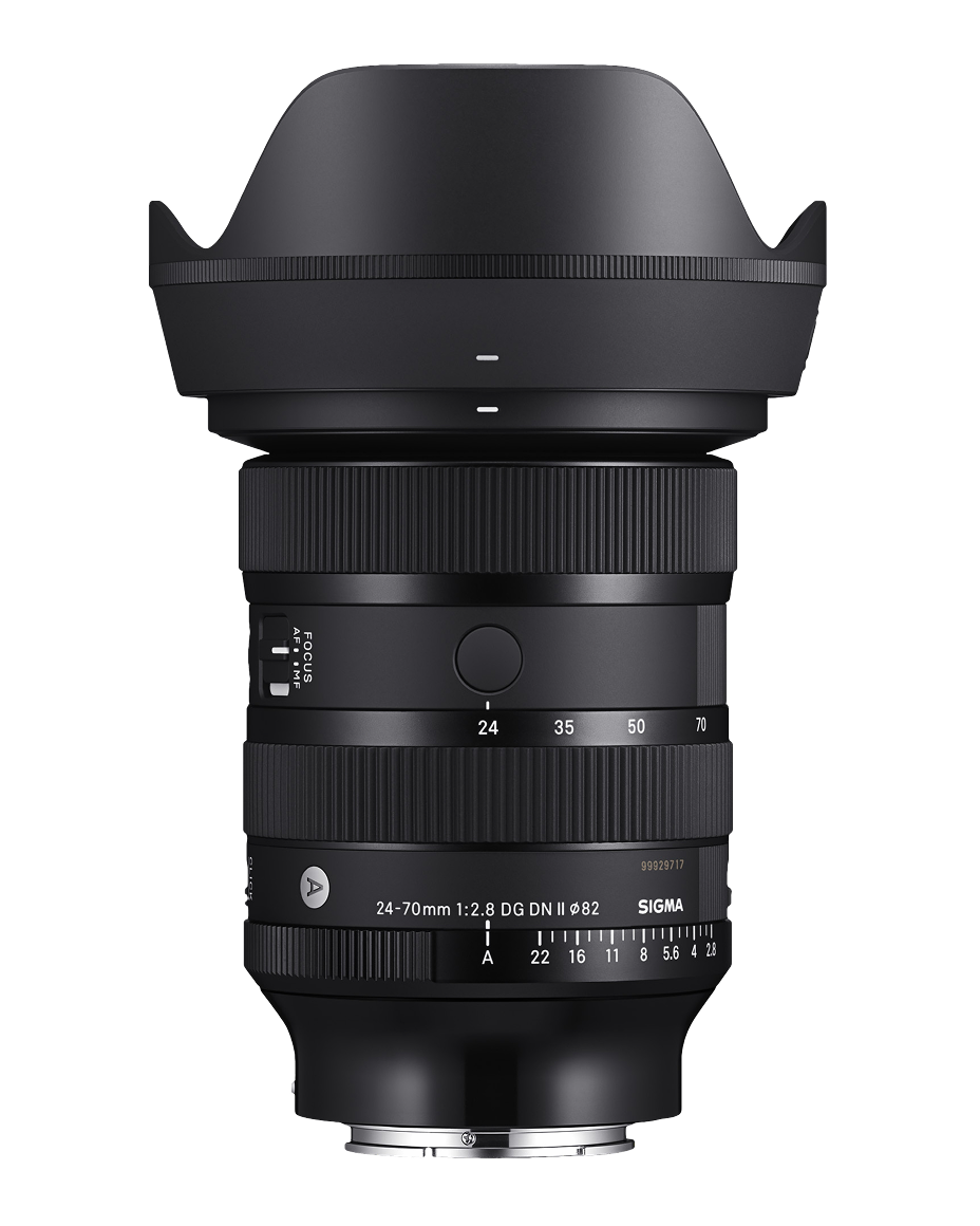Art 24-70mm F2.8 DG DN II